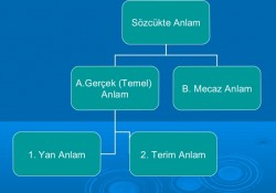 Sözcükte anlam nedir