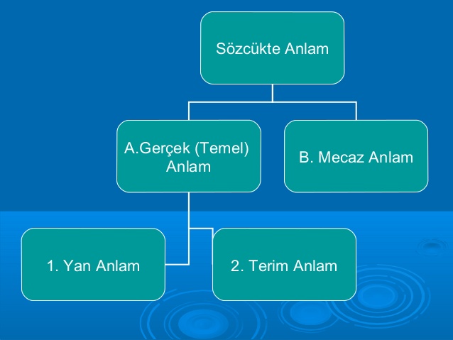 Sözcükte anlam nedir